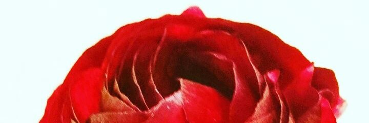 tw_marumo's profile banner image