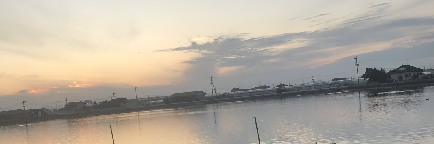 ylnblg's profile banner image