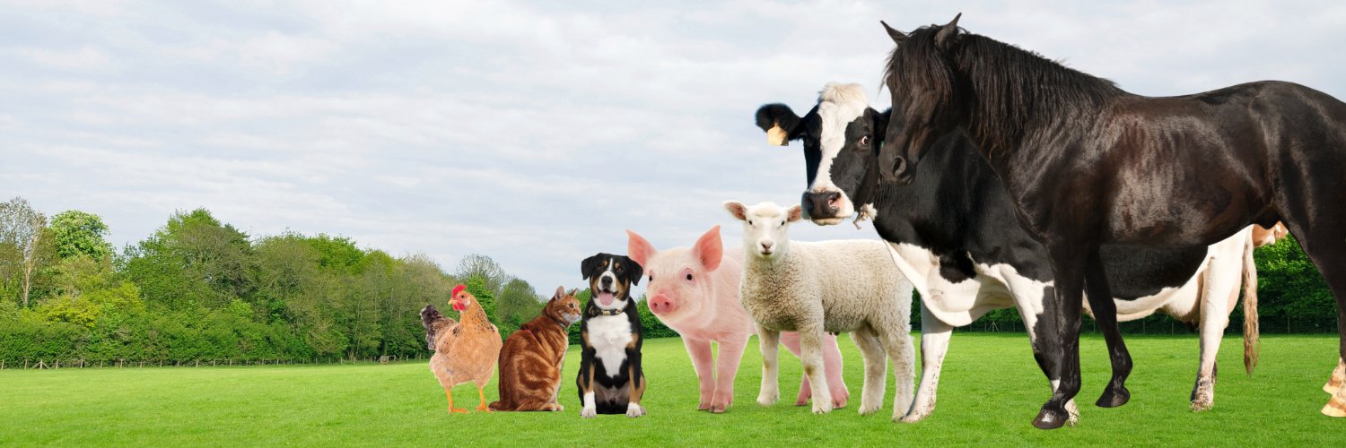 Elmer_Vet's profile banner image