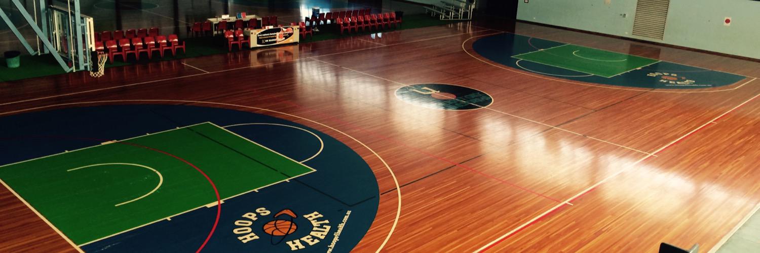 darwinbaskeball's profile banner image