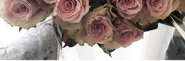 le_leeni's profile banner image