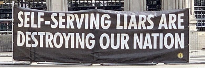 Electric Poll Cat banner