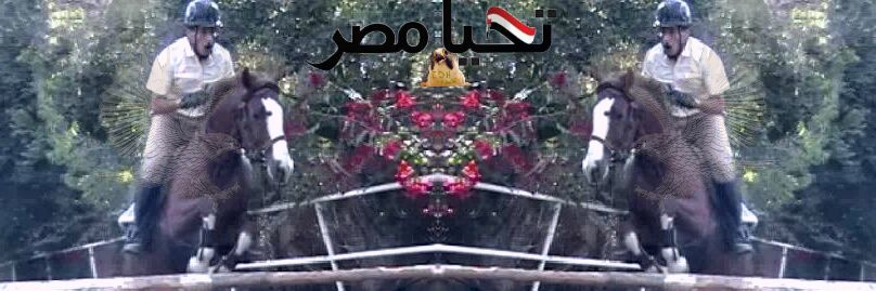 AAbdalgawad's profile banner image