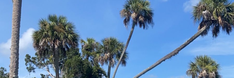 awolfe98's profile banner image