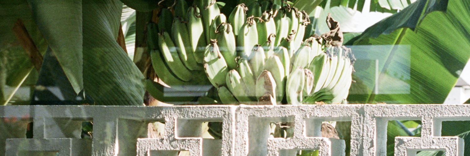 Gypsea_lust's profile banner image