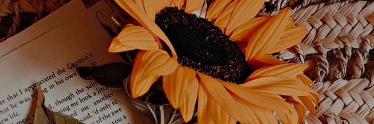 tu_mahmi's profile banner image