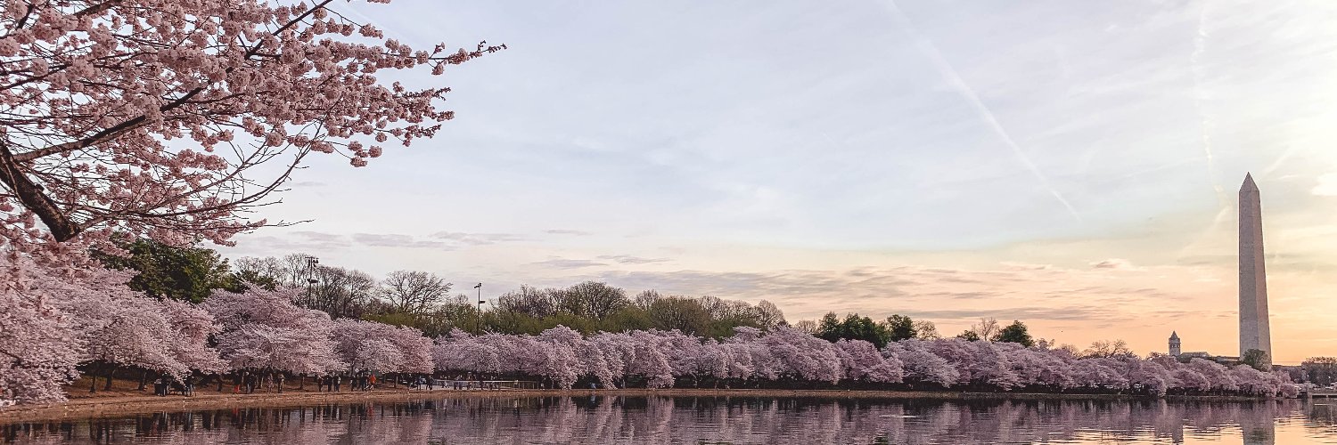 StandingRoomDC's profile banner image