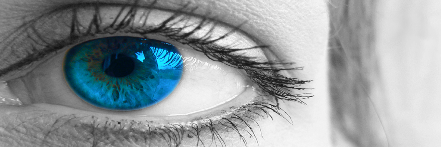 Bendit Thinking banner
