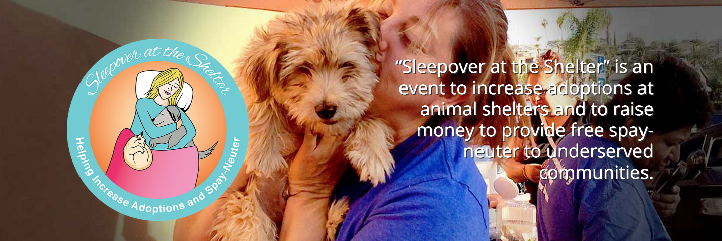 LoveShelterPets's profile banner image