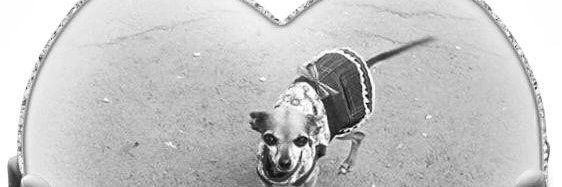 nelly2207's profile banner image