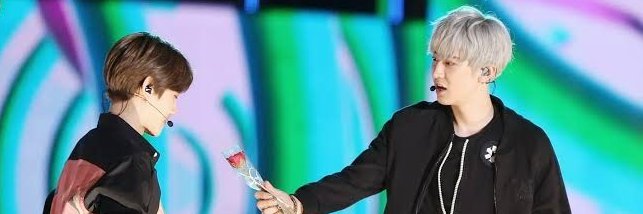 fairy🍒 banner