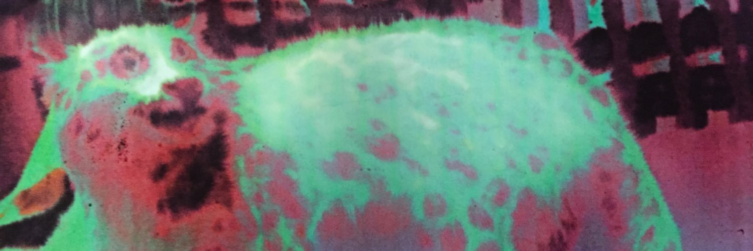 jun1719jun's profile banner image