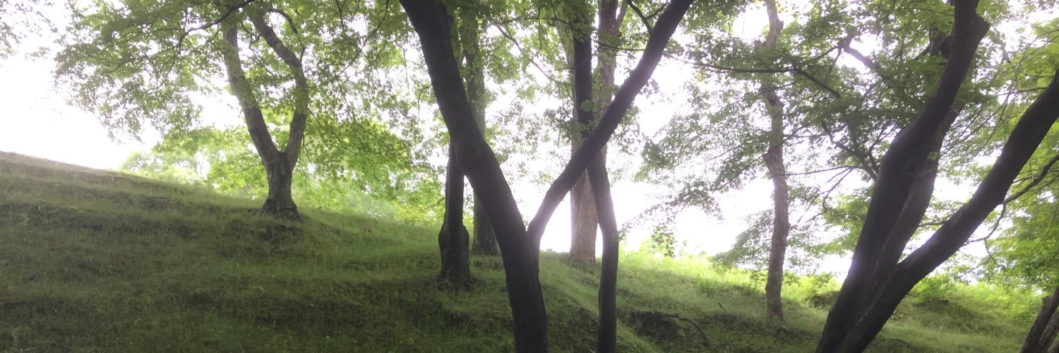 ritu581's profile banner image