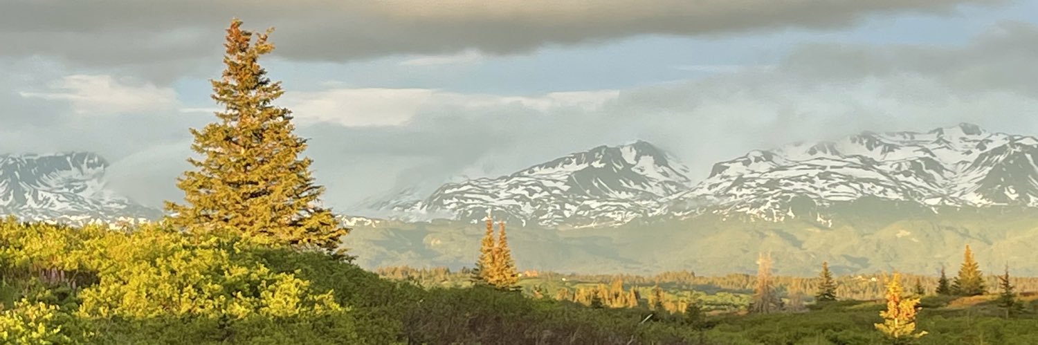 rorribori's profile banner image