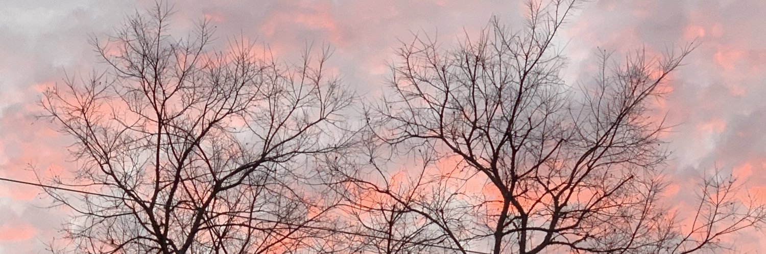 blindsole's profile banner image