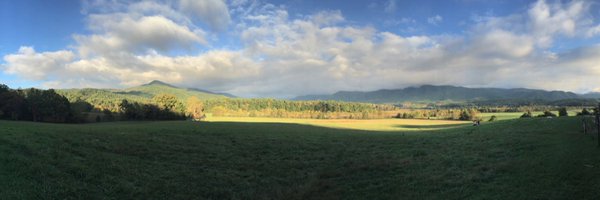 APATNChapter Profile Banner