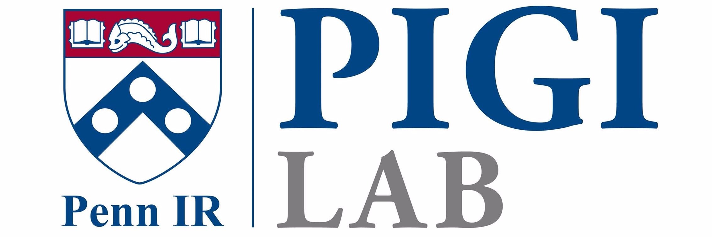 PIGILab banner
