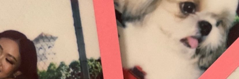 CuencoHazel's profile banner image