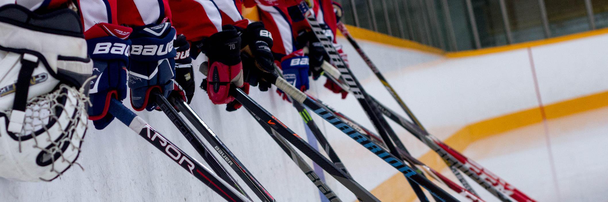 EaglesIceArena's profile banner image