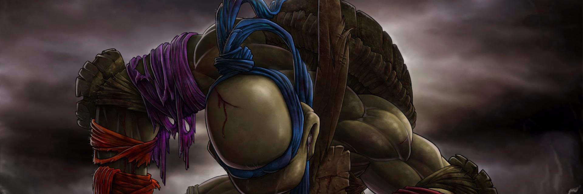 Stani The Turtle banner