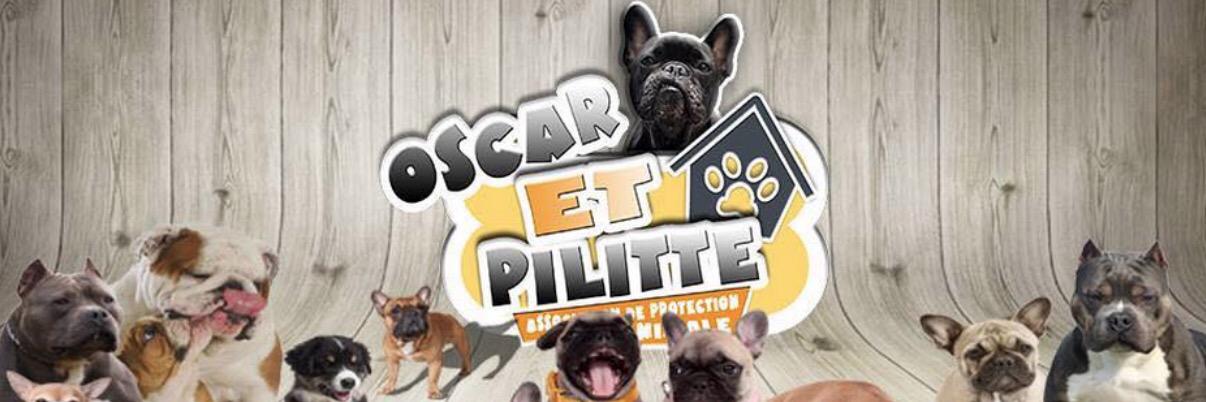 oscaretpilitte's profile banner image