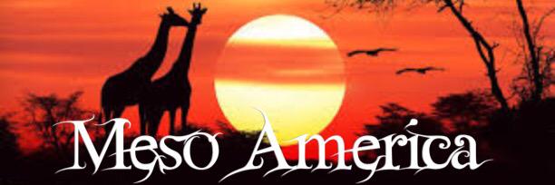 meso_up's profile banner image