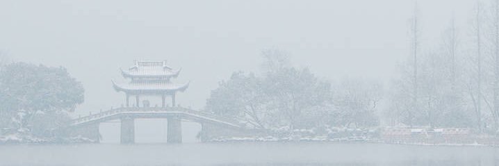 zs_wang's profile banner image