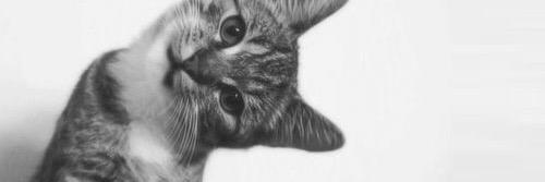 msmirnis's profile banner image