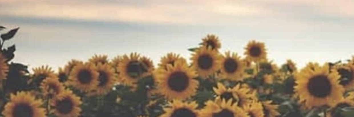 Andreavns's profile banner image
