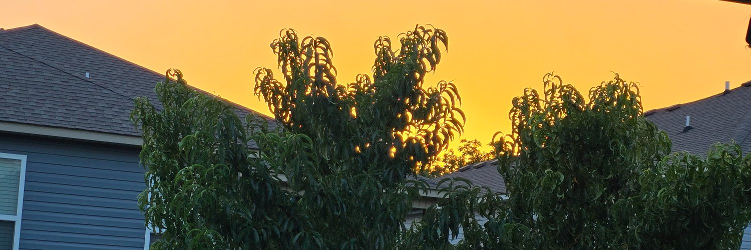 Ethan_Nicholson's profile banner image