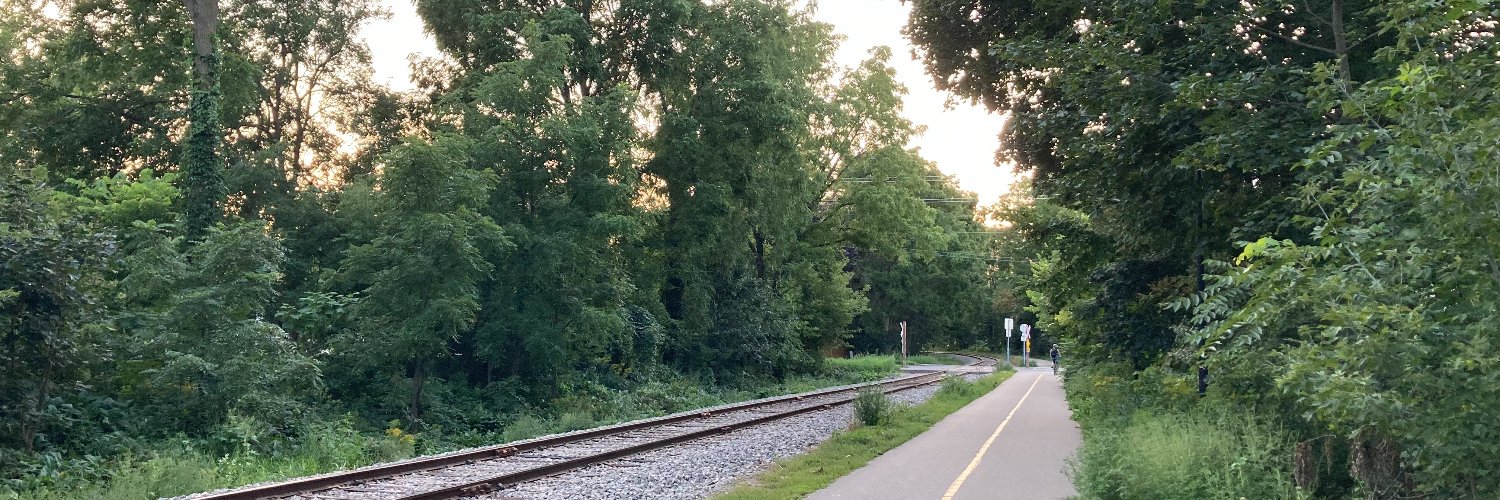 Stephanie Fritz banner