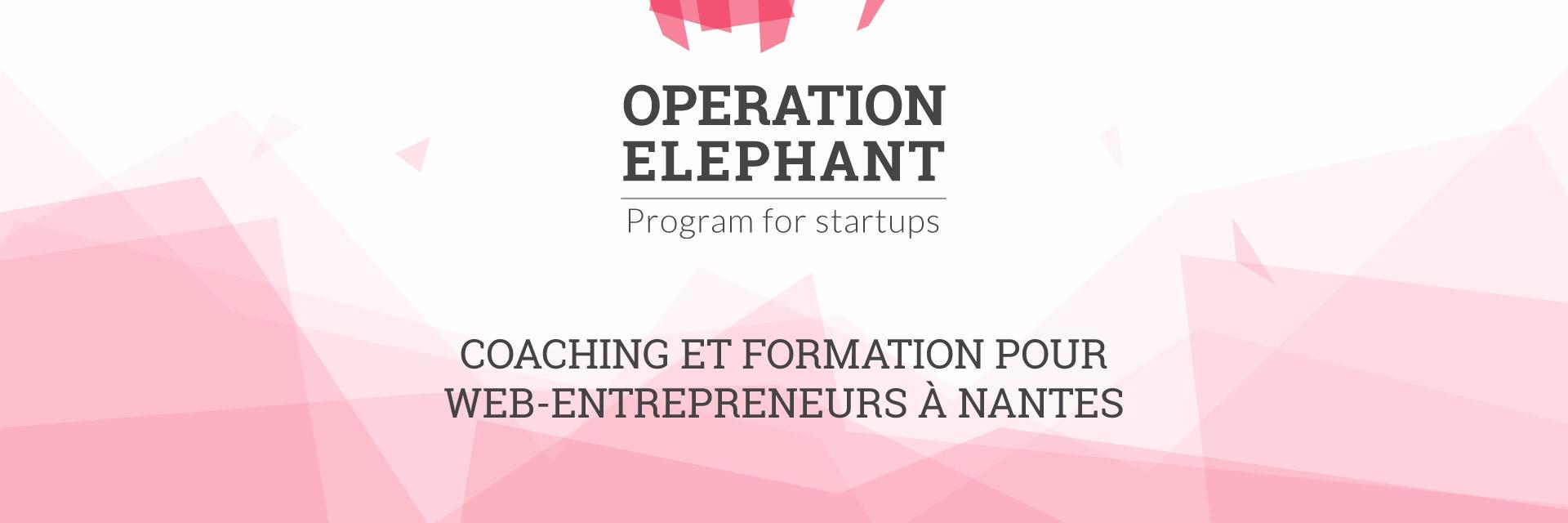 OpElephant's profile banner image