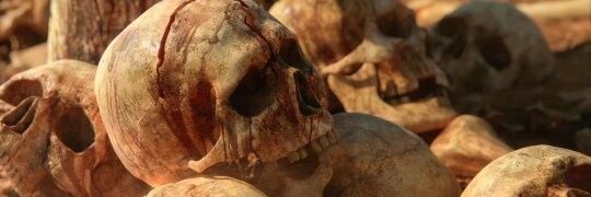 KANELOKING666's profile banner image