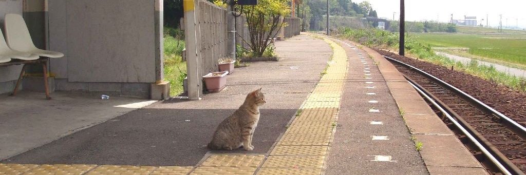 一二猫肆五六 banner