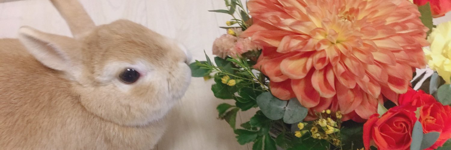 ssawwiam's profile banner image