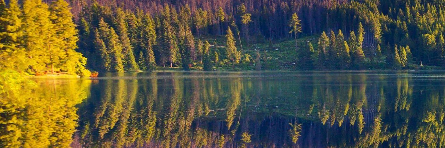 Caroline_Evrrd's profile banner image