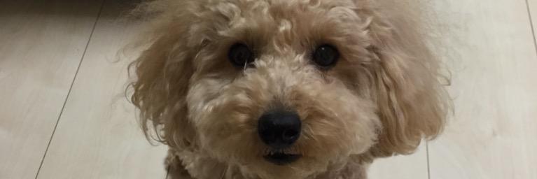 3737kenken's profile banner image