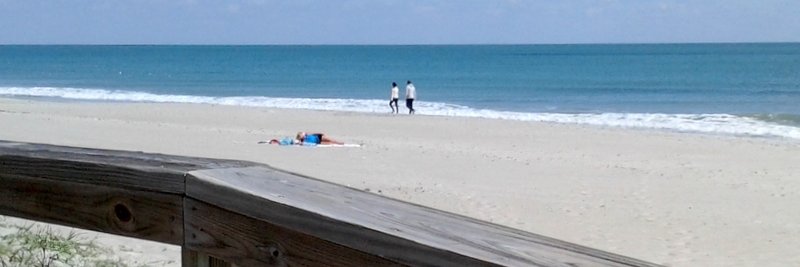 😎BulldogBenFla😎 banner