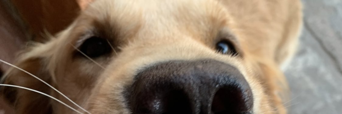 joacocuna's profile banner image