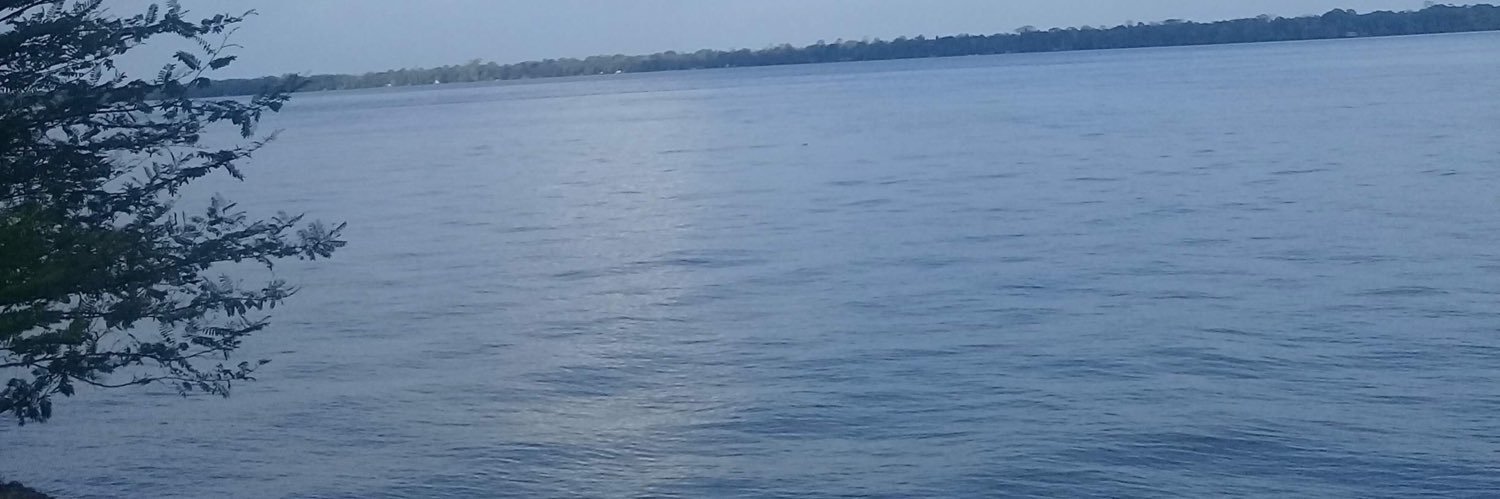medjescaa's profile banner image