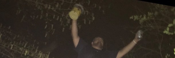 Brandon Miller banner