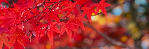 JuandaIsBack Profile Banner