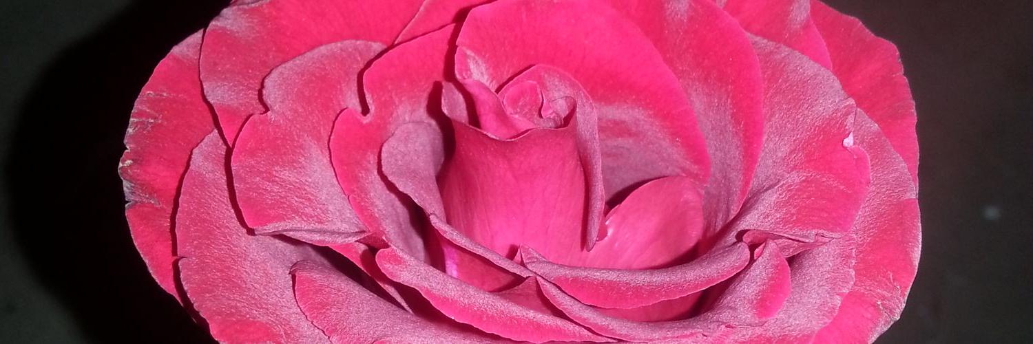 LhanoyKk's profile banner image