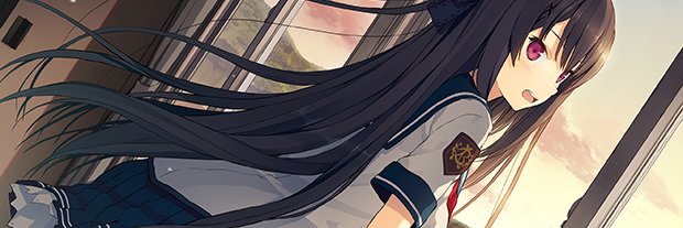 senkatubame's profile banner image