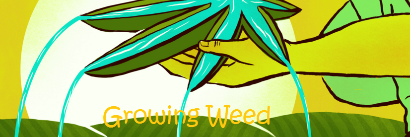 ilovegrowingmj's profile banner image