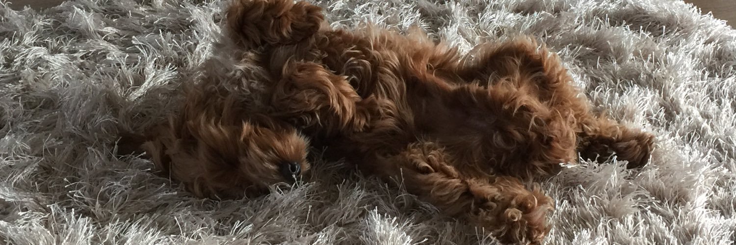 amydanielle20's profile banner image