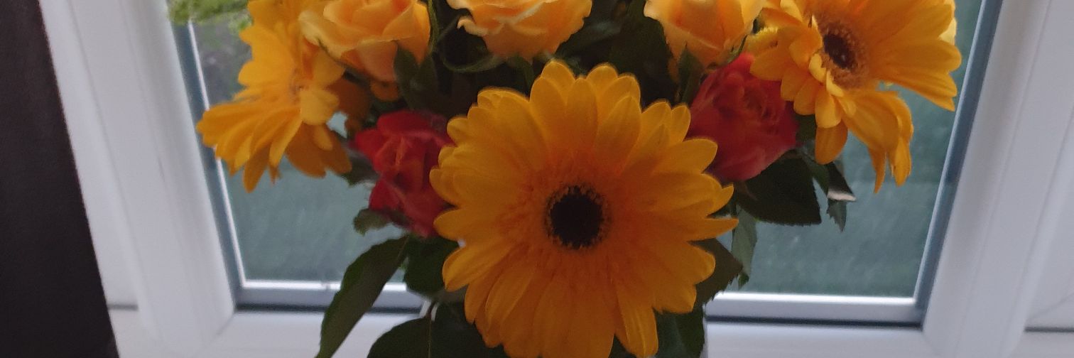 Tracy75554236's profile banner image
