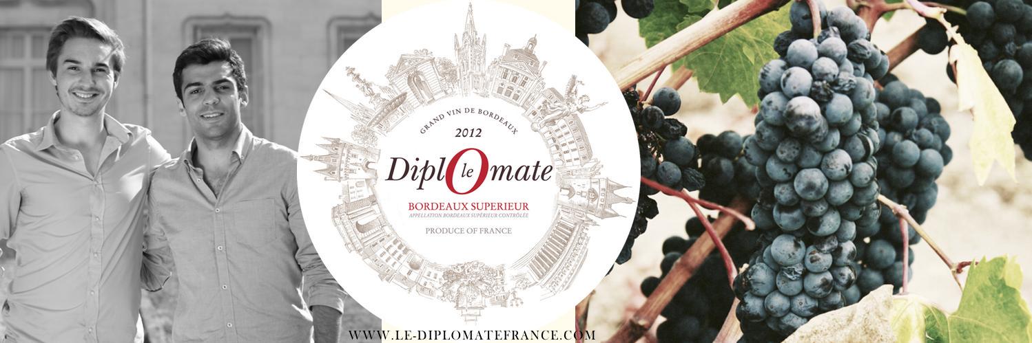 DiplomateFrance's profile banner image