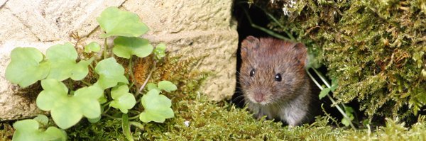 GuyBPhotography Profile Banner