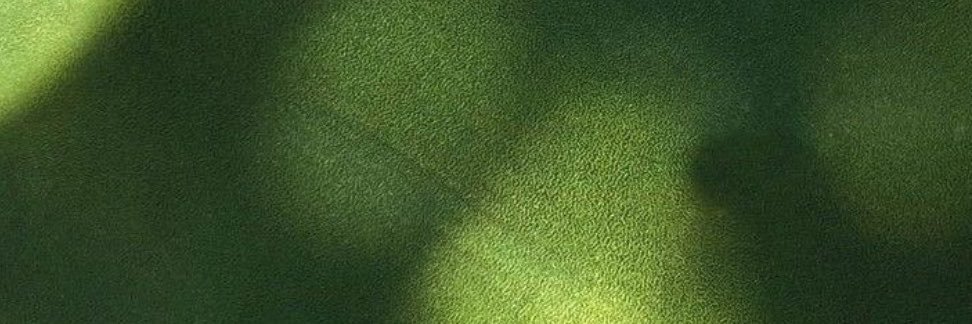 AmberJobson's profile banner image